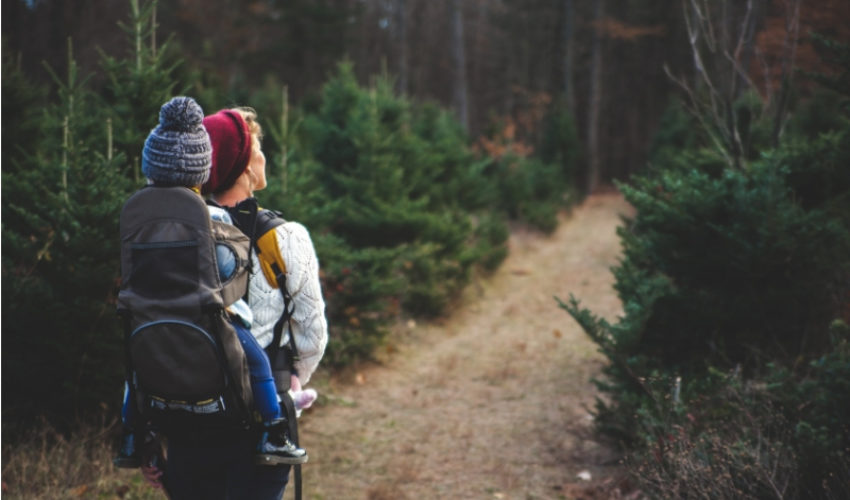 Estate Planning Client Profile #18 | Single Woman in Forties | One Minor Child