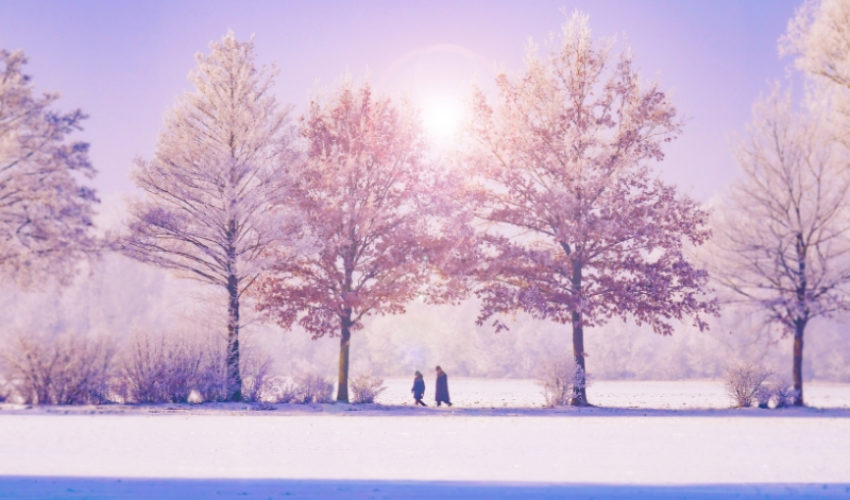 Estate Planning Client Profile #7 | Blended Family with Foreign Assets