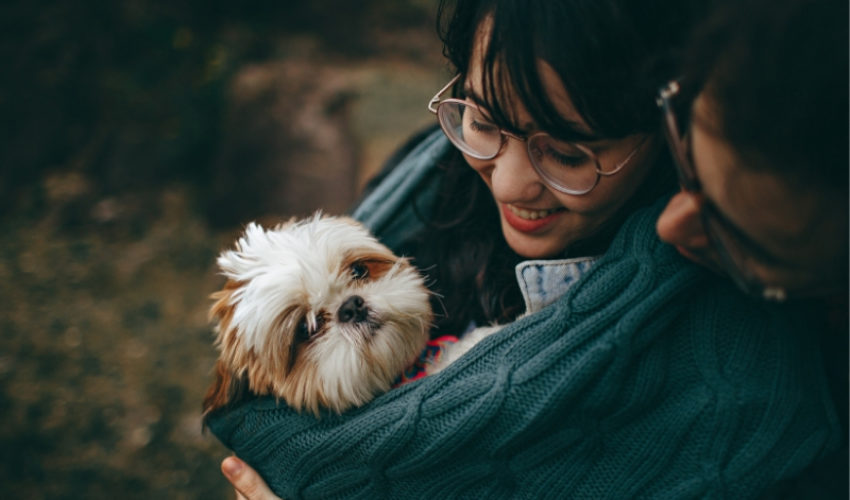 Estate Planning Client Profile #27 | Married Couple | One Adult Child | High Value Assets
