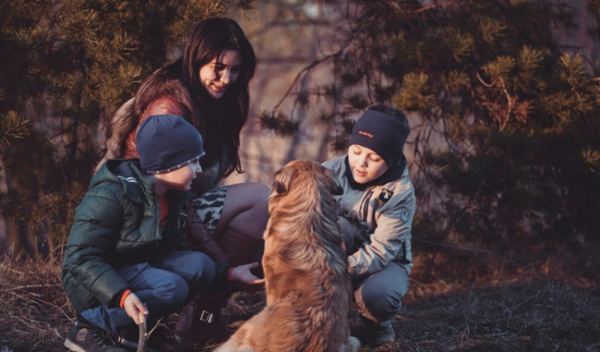 Estate Planning Client Profile #35 | Middle Aged Married Couple | Two Minor Children