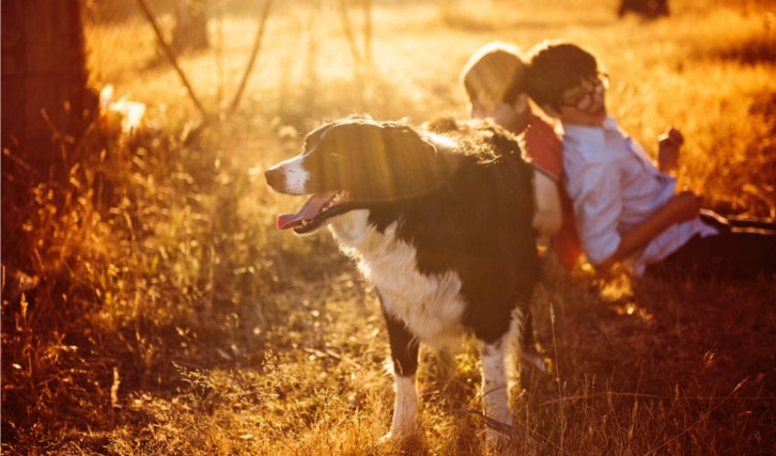 Estate Planning Client Profile #68 | Married Couple | Two Minor Children | Family Overseas | Dogs | Wife With Existing Estate Plan