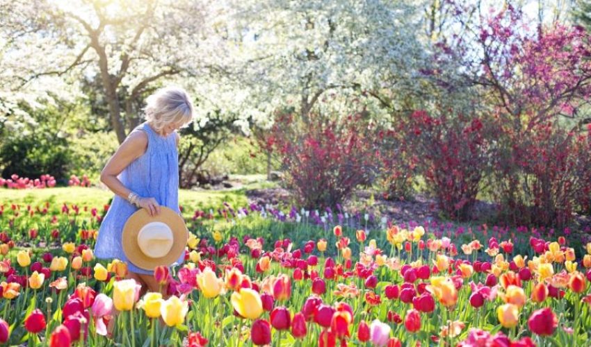 Estate Planning Client Profile #77 | Older Woman | Widow | Living With Daughter | Three Adult Children