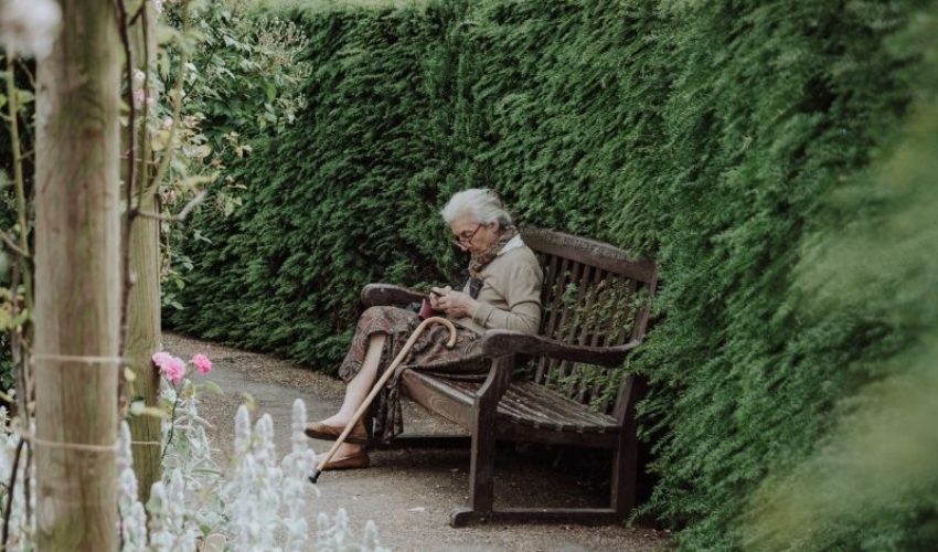 Estate Planning Client Profile #117 | Older Woman | Widowed | Five Adult Children