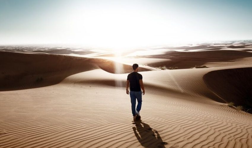 Estate Planning Client Profile #159 | Single Man | No Children | Not U.S. Citizen